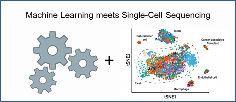 机器学习遇到单细胞组学：Perturbation Modeling
