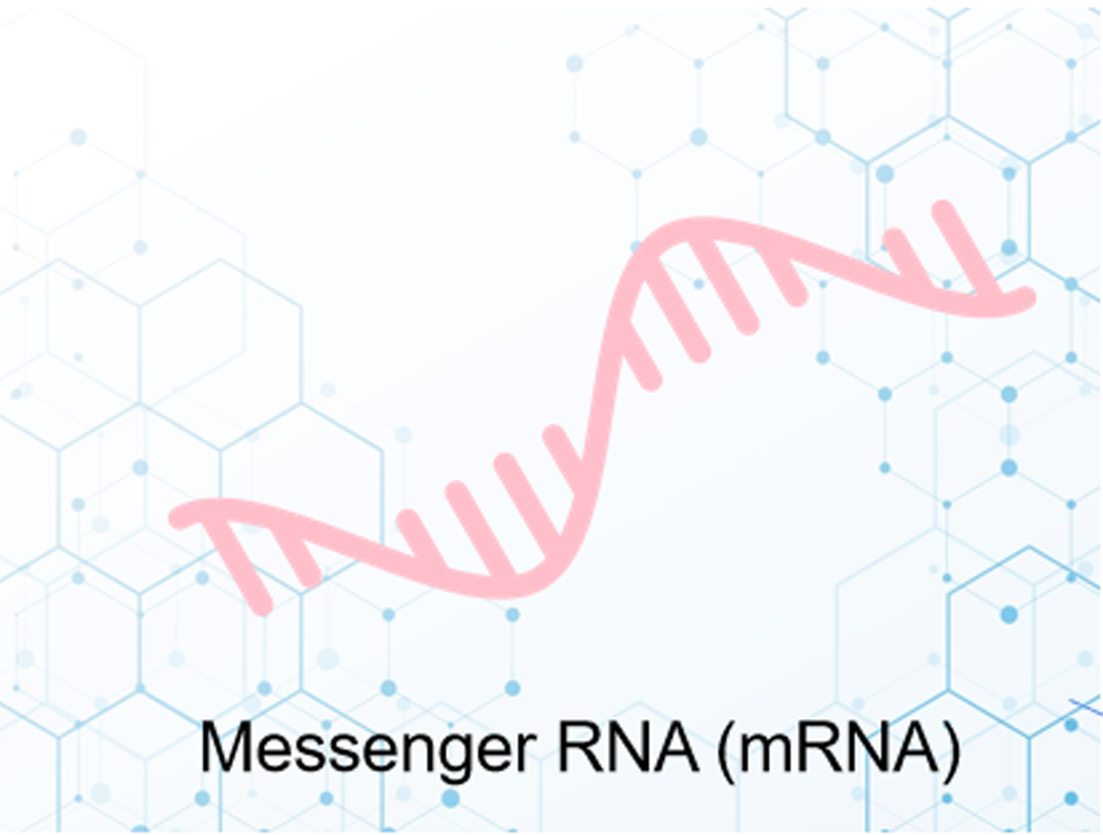 mRNA转录组测序